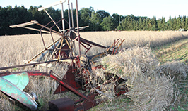 Bild der Garbenbinder