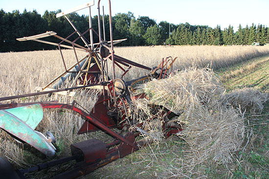 Bild der Garbenbinder